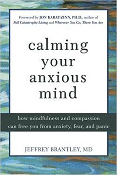 'Calming Your Anxious Mind' by Jeffrey Brantley (ISBN 1572244879)