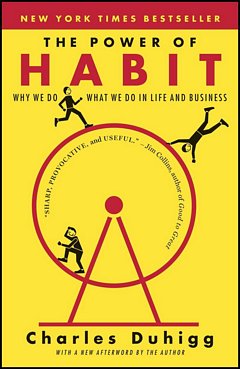 'The Power of Habit' by Charles Duhigg (ISBN 081298160X)