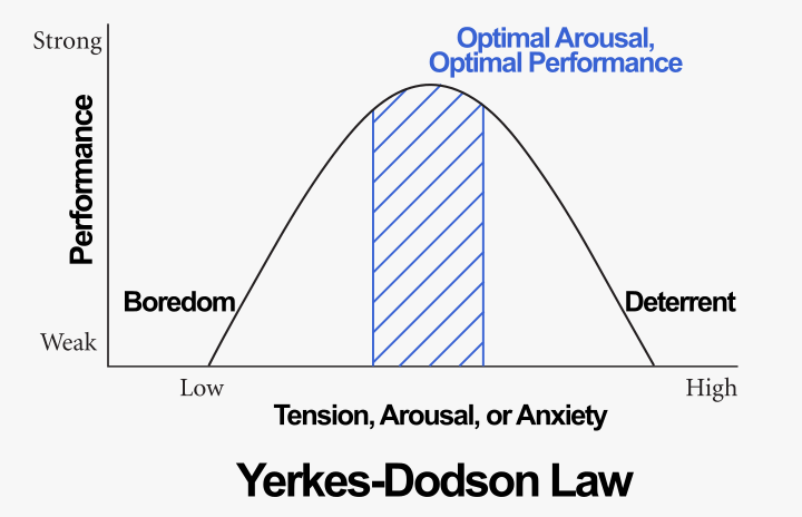 When Stress is Good: The Yerkes-Dodson Law